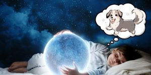 Nằm Mơ Thấy Chó Đánh Số Mấy – Bật Mí Con Số Tài Lộc