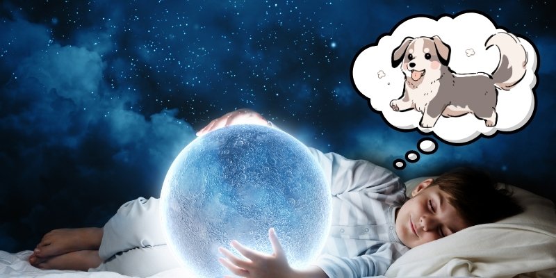 Nằm Mơ Thấy Chó Đánh Số Mấy – Bật Mí Con Số Tài Lộc